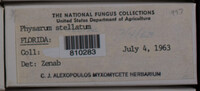 Image Associated With the Occurence